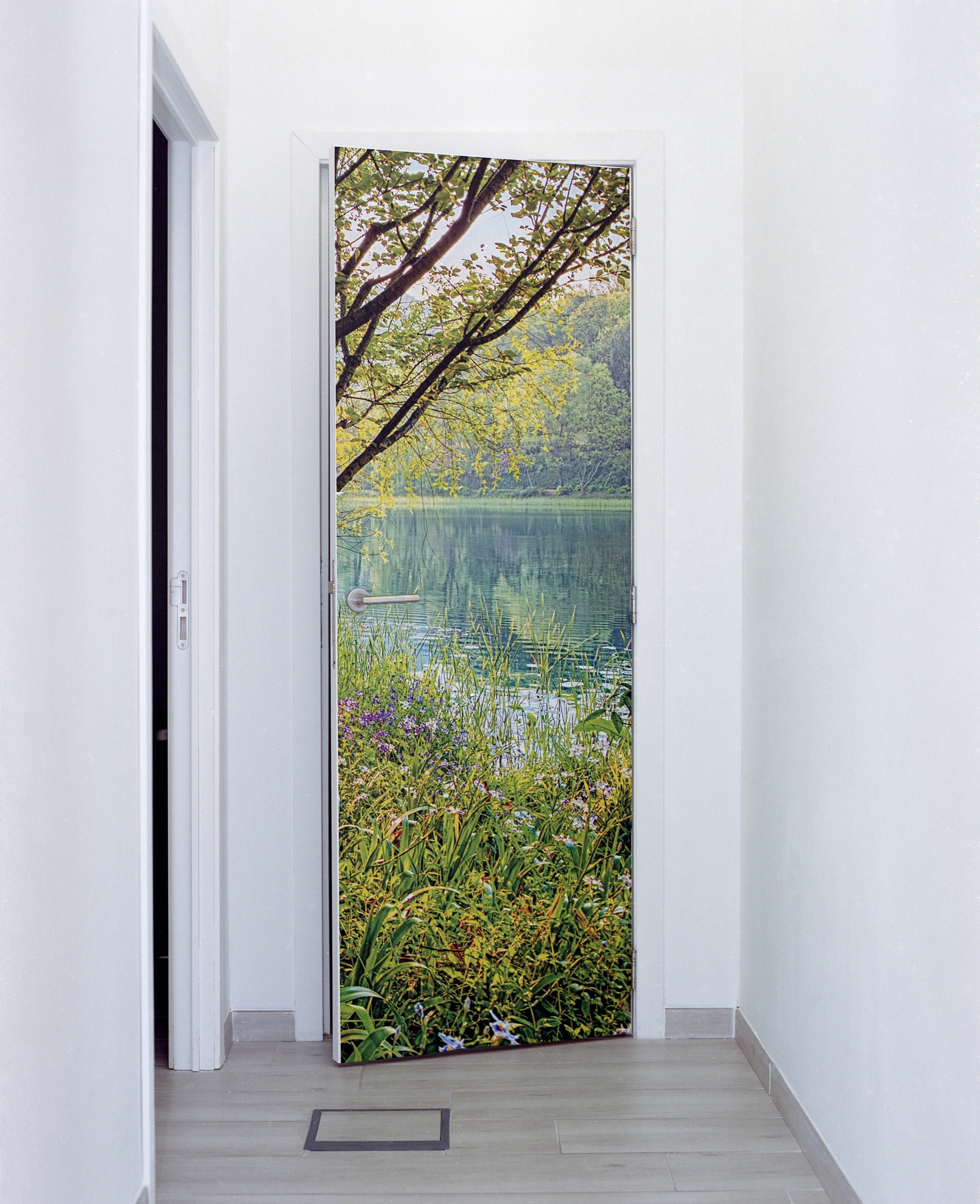 Porte de couloir recouverte d'un poster de lac
